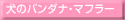 ̃o_iE}t[