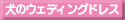 ̃EFfBOhX